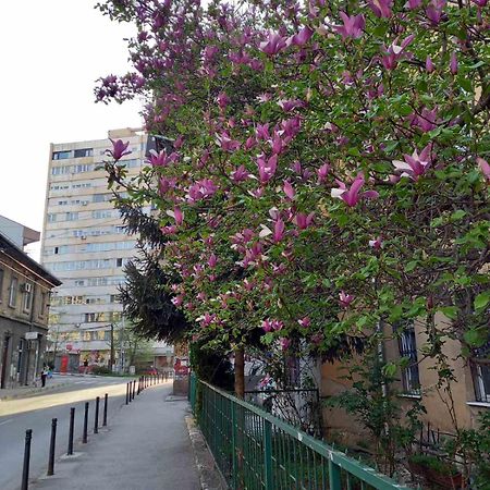 Hansa Apartment Szarajevó Kültér fotó