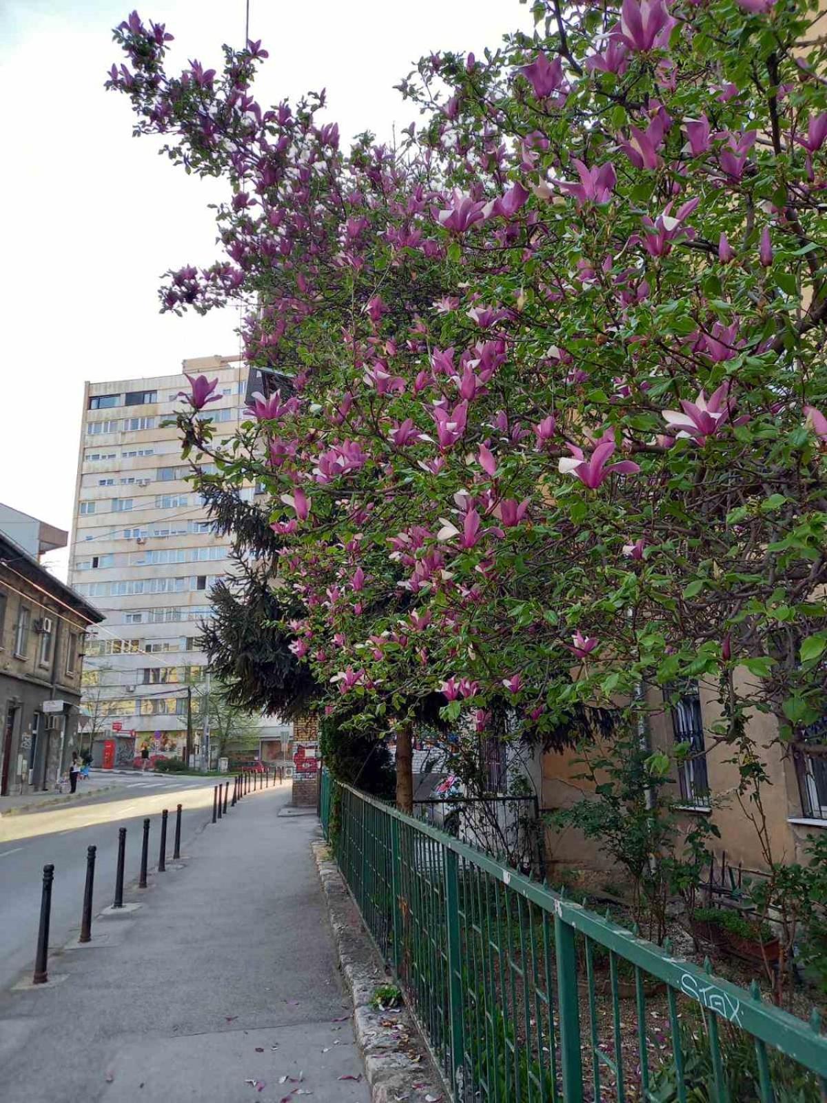 Hansa Apartment Szarajevó Kültér fotó